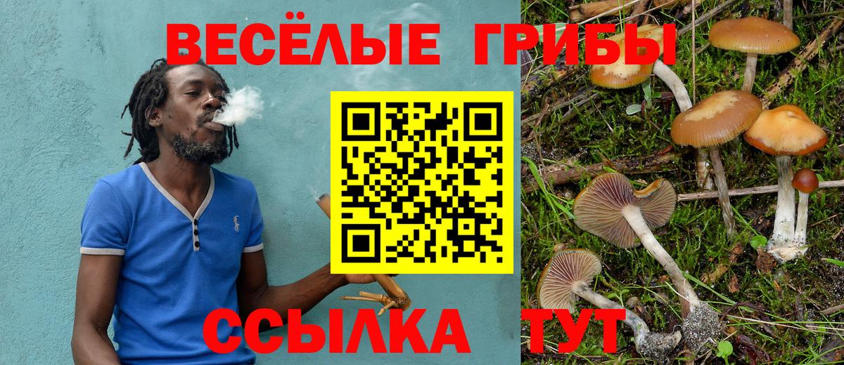 Ливны  Псилоцибиновые грибы прущие грибы  Вход с VPN 